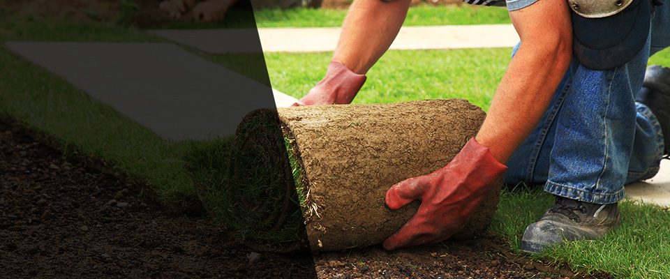 Union Grove Landscapers